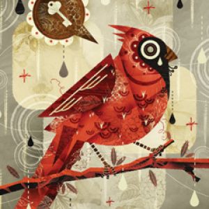 Illustrazione di un Uccello Colorato