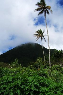 Paesaggio Montano Tropicale - wallpaper preview