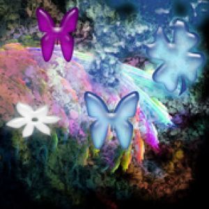 Farfalle Colorate e Arcobaleno