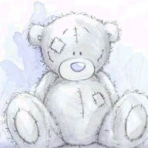Illustrazione di Orsetto Carino