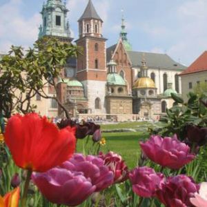 Cattedrale di Cracovia e Fiori