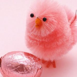Carino Pulcino Rosa e Uovo