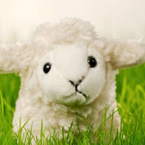 Pupazzo di Pecora Carino