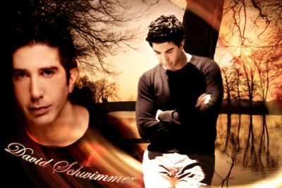 Ritratto Artistico di David Schwimmer - wallpaper preview