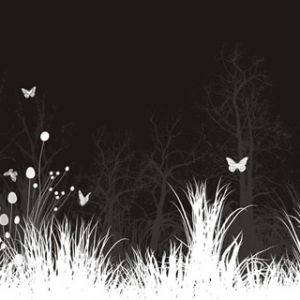 Elegante Natura Bianco e Nero