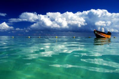 Vista Serene dell'Oceano - wallpaper preview