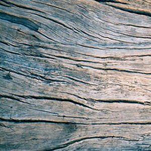 Grano di Legno Testurizzato