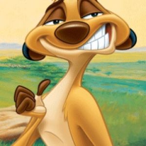 Timon de Il Re Leone