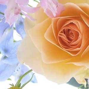 Bellissimo Composizione Floreale