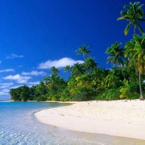 Paradiso della Spiaggia Tropicale