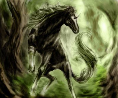 Maestoso Unicorno Nero nella Foresta - wallpaper preview