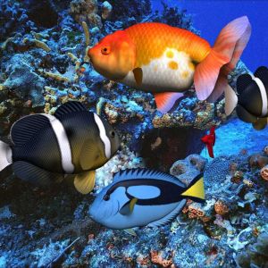 Pesci tropicali colorati sott'acqua