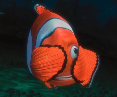 Pesce Pagliaccio Colorato Sott'acqua