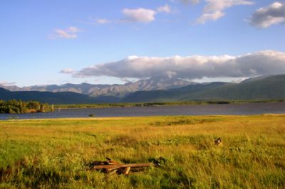 Vista Serene del Lago Montano