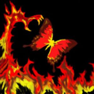 Arte del Drago di Fuoco e della Farfalla