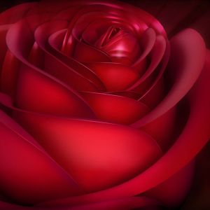 Bella Rosa Rossa