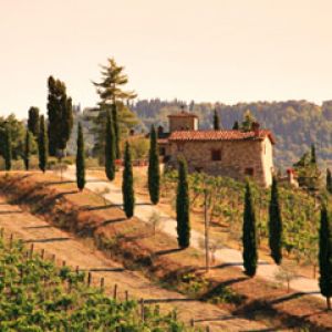 Paesaggio della Vigna Toscana