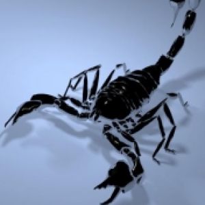 Scorpione Nero Stilizzato