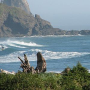 Onde Oceaniche Sereni