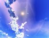 Cielo Bellissimo con Nuvole