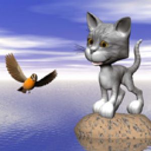 Gatto e Uccello Carino