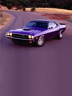 Auto Muscolare Viola Classica