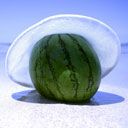 Anguria in Spiaggia