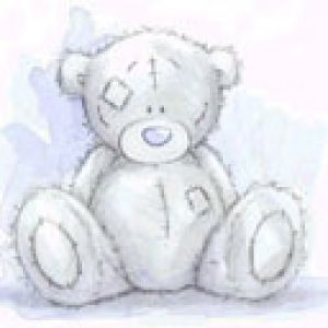 Illustrazione di Orsetto Carino