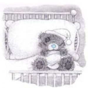Orsetto Carino che Dorme