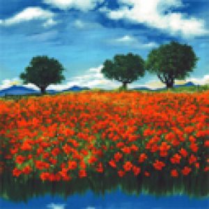 Paesaggio di Papaveri Vivaci