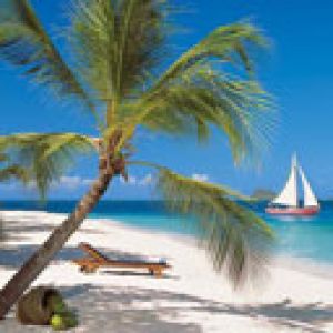 Paradiso della Spiaggia Tropicale