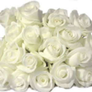 Bouquet di Rose Bianche