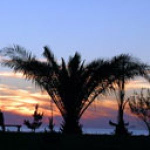 Tramonto su Palme