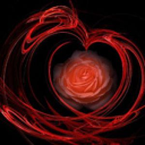 Arte del Cuore con Rosa Rossa