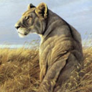 Maestosa Leonessa nella Natura