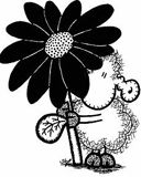 Pecora Carina con Fiore