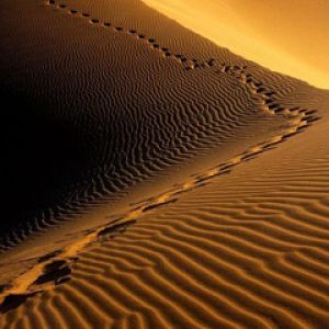 Dune del Deserto al Tramonto