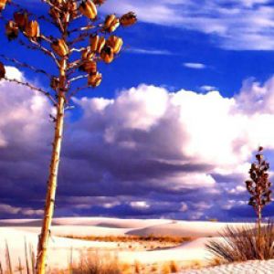 Paesaggio desertico con nuvole
