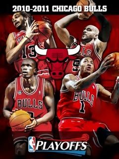 Chicago Bulls 2010-2011 Playoffs