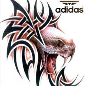 Arte Tribale di Serpente con Logo Adidas