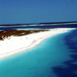 Paradiso della Spiaggia Tropicale