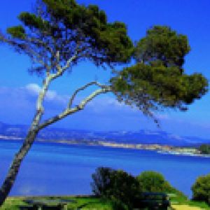 Paesaggio Costiero Sereno