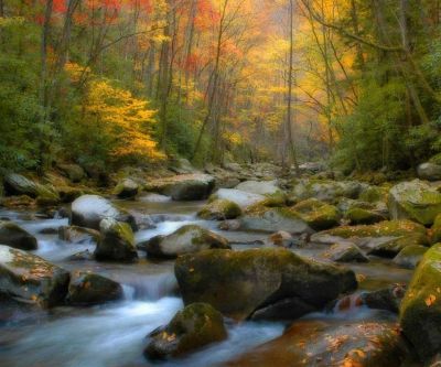 Ruscello Autunnale