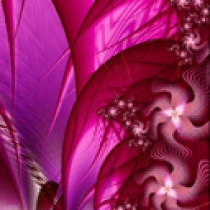 Design Astratto Rosa Vivace
