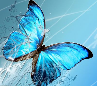 Arte della Farfalla Blu - wallpaper preview