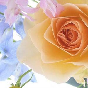 Bellissima Composizione Floreale