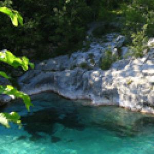 Ruscello di Montagna Cristallino