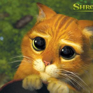 Puss in Boots da Shrek