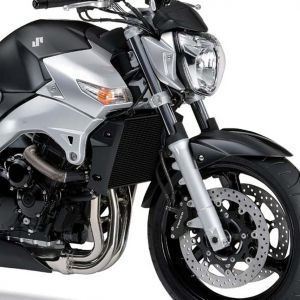 Moto Elegante Argento