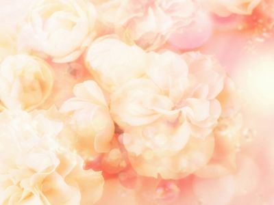 Sfondo Floreale Rosa Morbido - wallpaper preview